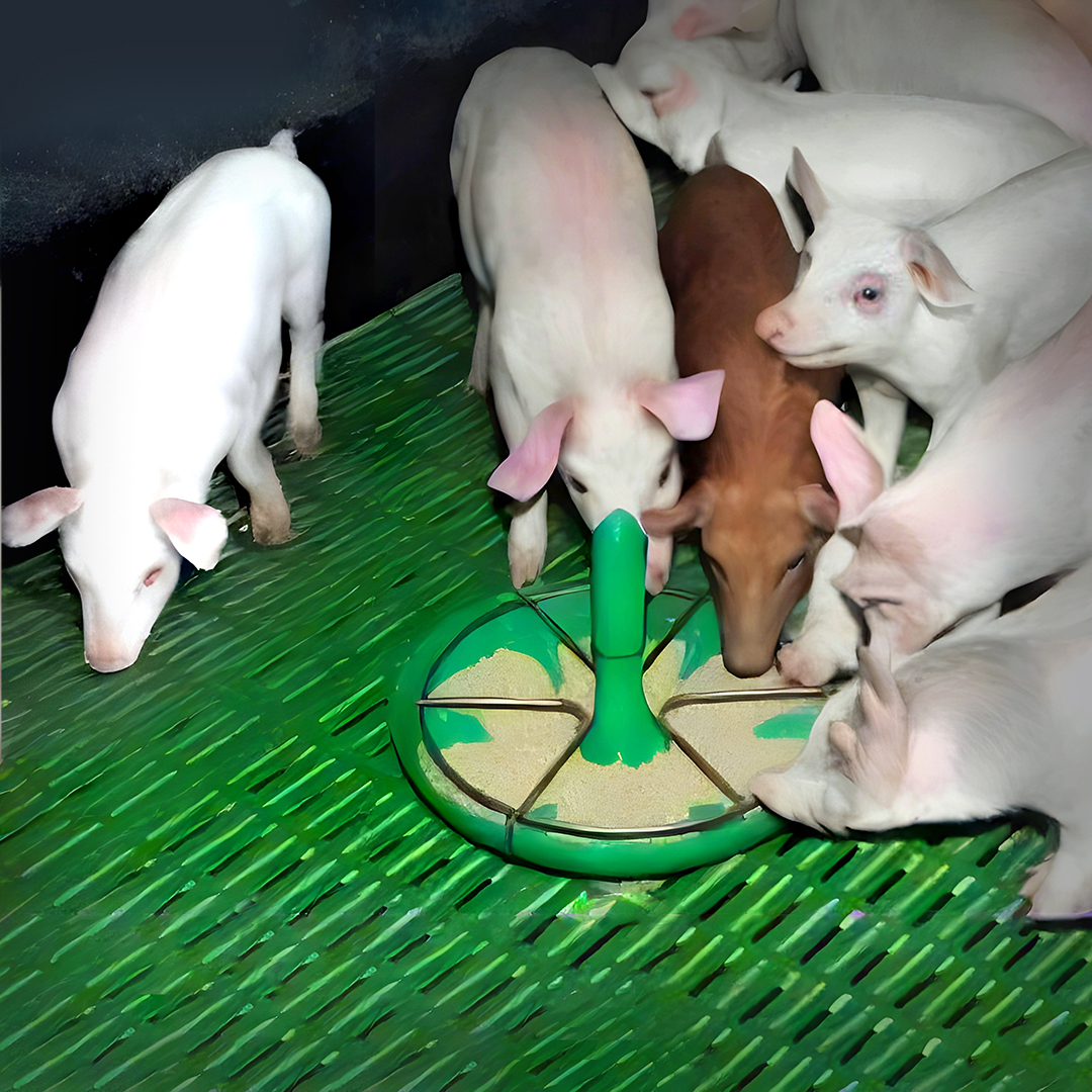 Кормушка пластиковая, 4,5 л, модель Maxi OK