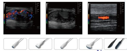 24052023.02 Smart – Scan, К10