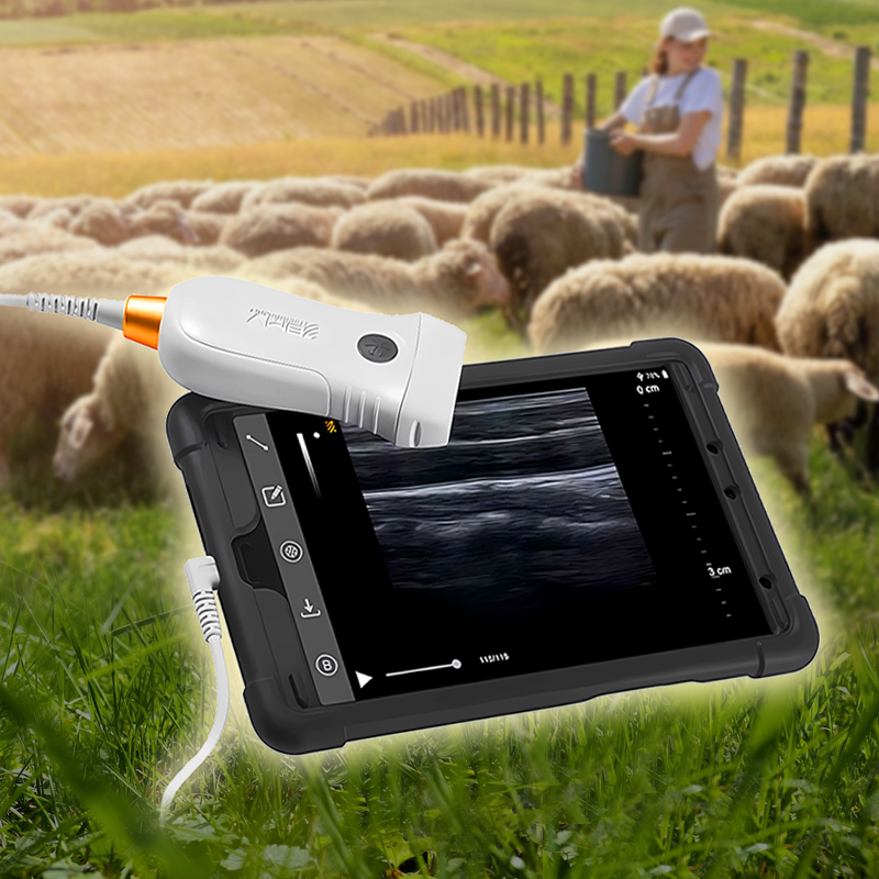 Сканер MKS-PRO