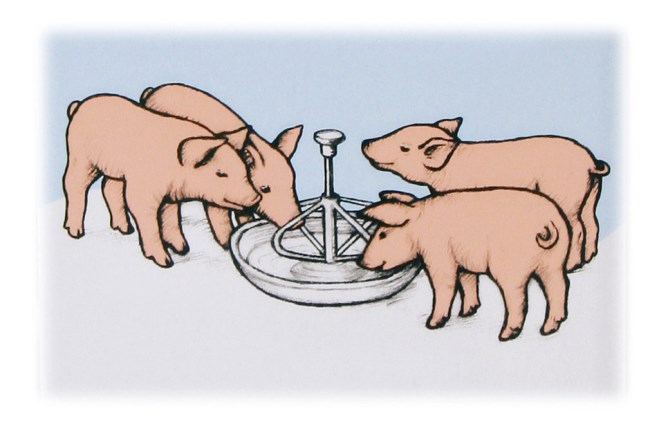 Кормушка для поросят, 2л